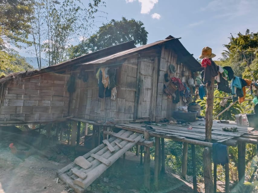 1 Day trekking : Chiang Rai popular activity,Fun in Nature. - Tea Plantation and Huay Kaew Waterfall, the Most Fun Midday Reset