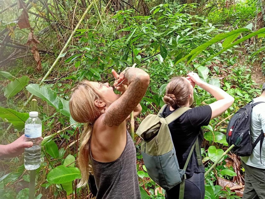 1 Day trekking : Chiang Rai popular activity,Fun in Nature. - Who This Trek Suits Best, and Who Should Skip It