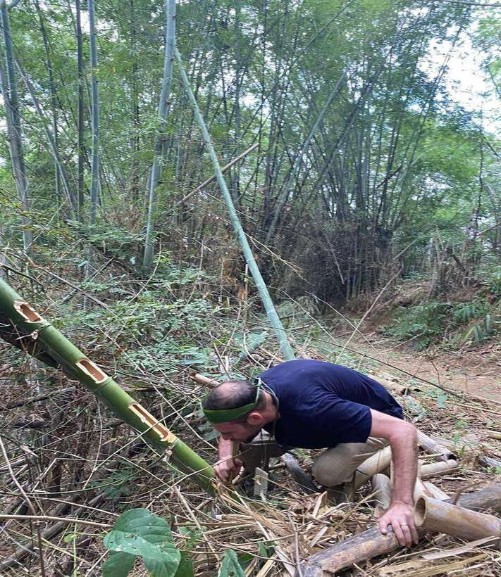 1 Day Trekking in Chiang Rai forest (walk only) - Who will love this trek most