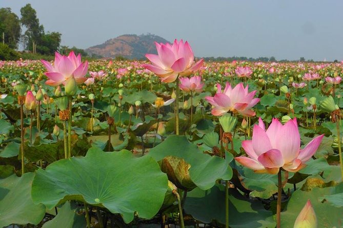 2-Day Angkor Wat Tour from Bangkok - Siem Reap evening: free time that actually fits your stamina