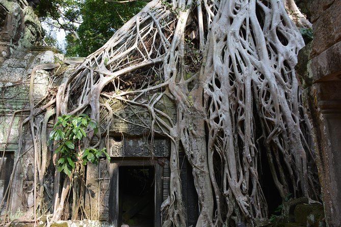 2-Day Angkor Wat Tour from Bangkok - Sunrise and the Angkor temple circuit: Angkor Wat, Bayon, Ta Prohm
