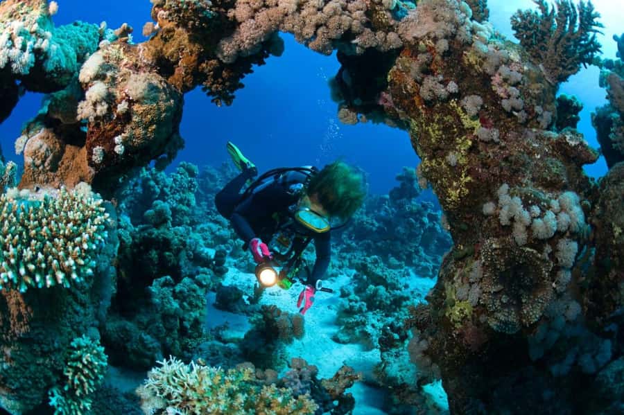 3 Fun Dives for Certified Diver Phi Phi islands &Shark Point - Practical tips before you go: bring what you need, plan what can change