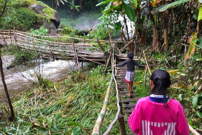 3-in-1: Doi Inthanon Tour, Elephant Sanctuary, and Trekking Trail - Ban Mae Klang Luang, coffee grown nearby, and a calmer finish