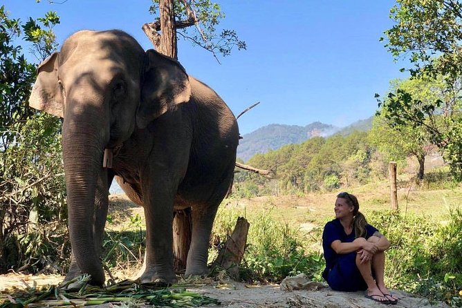 3-in-1: Doi Inthanon Tour, Elephant Sanctuary, and Trekking Trail - The driving factor: motion sickness, van comfort, and timing reality