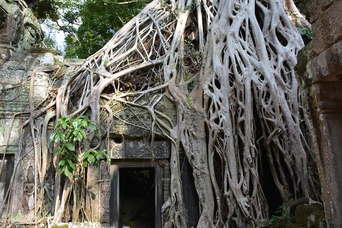 4 Days Expedition From Bangkok to Angkor Wat - Ta Prohm continues, Banteay Srei steals the show: Day 3’s temple variety