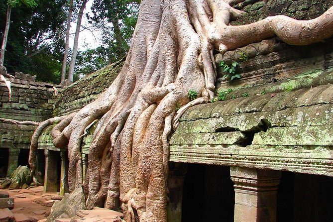 4 Days Expedition From Bangkok to Angkor Wat - Tonle Sap floating village cruise: the most memorable half-day