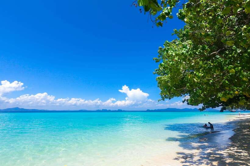 4-Island Tour from Koh Lanta to Koh Kradan with Beach Lunch - Ko Ngai: palms, calm water, and a slower end to the day