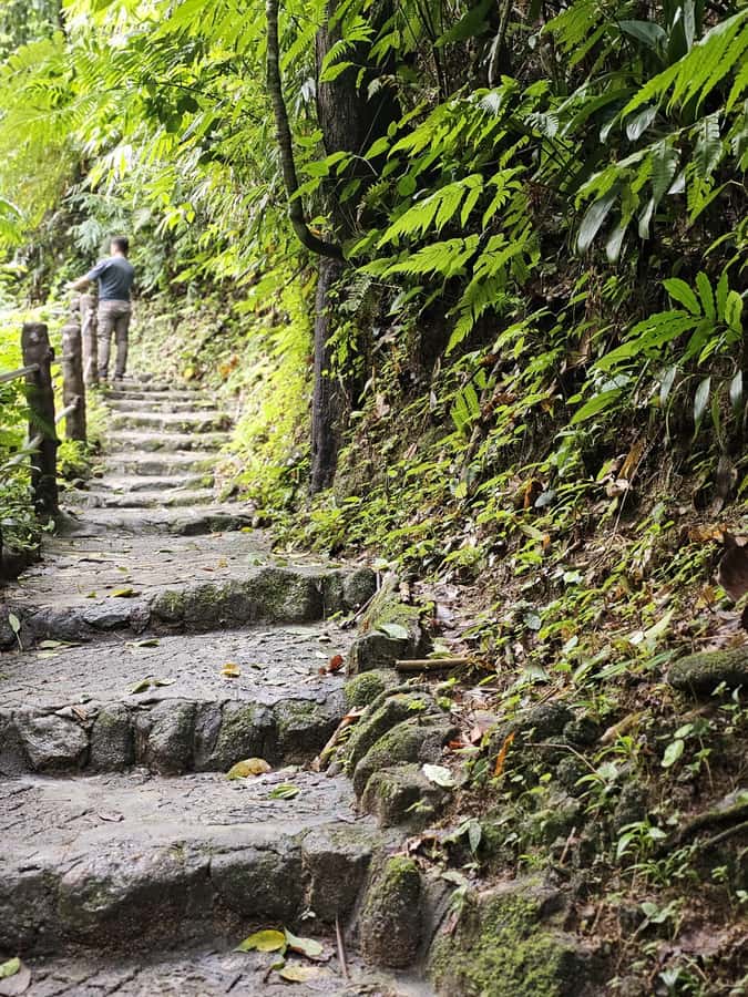 4 Waters Eco Adventure - Who Should Book, and Who Should Skip This One