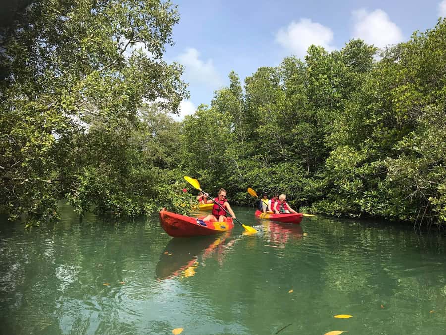 4 Waters Eco Adventure - Natai Beach Sunset: White Sand, Slower Pace, Quiet Views