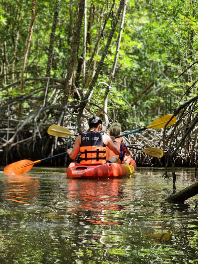 A Jungle-to-Sea Kayaking & Trekking Adventure in Phuket - Key moments that make this Phuket tour worth your time