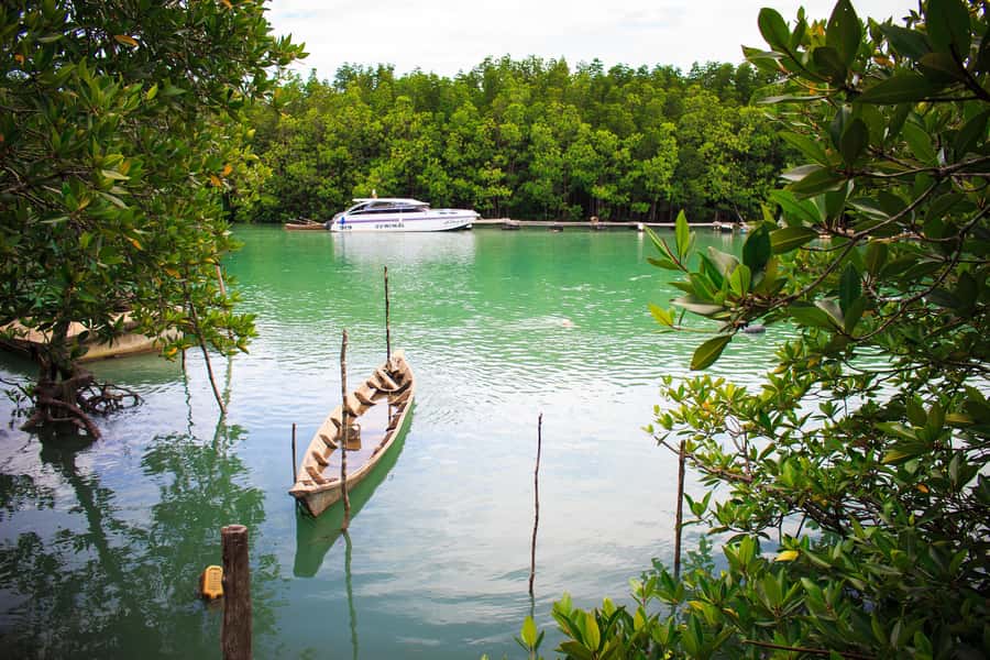 A Jungle-to-Sea Kayaking & Trekking Adventure in Phuket - What the $86 price covers, and why it can feel like fair value