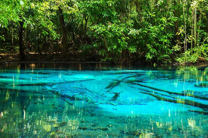 All day Krabi Jungle Tour (Hot Spring Water, Emerald Pool, Tiger Cave Temple) - A 9-hour mix of jungle pools and the famous temple climb