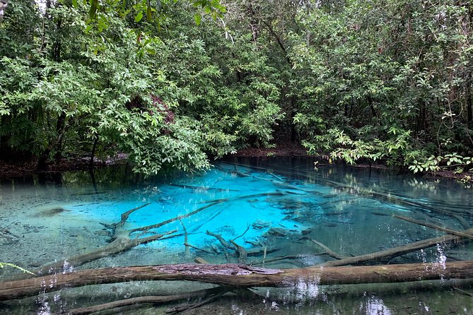 All day Krabi Jungle Tour (Hot Spring Water, Emerald Pool, Tiger Cave Temple) - Guides like Abhi and Mimi: organization that keeps the day from dragging