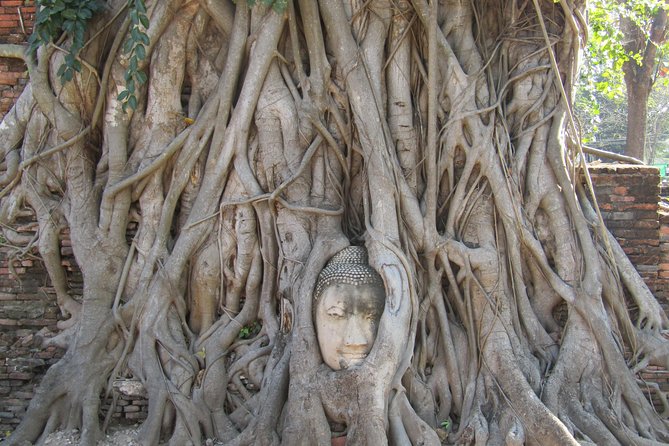 Amazing Ayutthaya Day Trip from Bangkok - Wat Lokayasutharam (Reclining Buddha): Ruins That Tell You What Was Lost