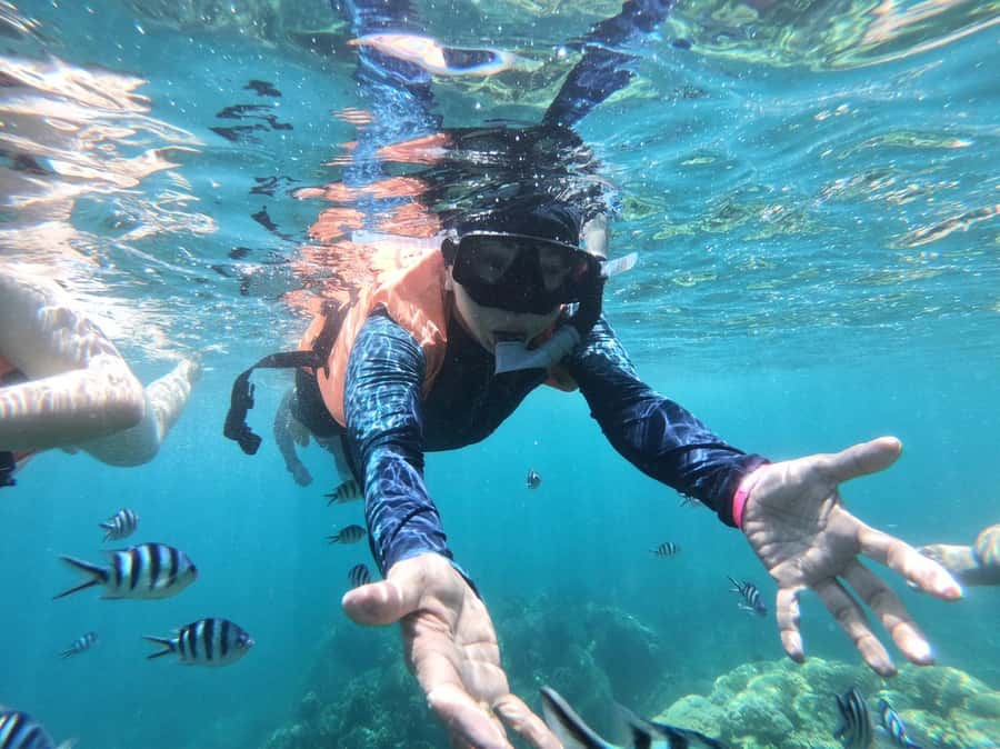 Ang Thong Full-Day Cruise with Sunset by The Red Baron Boat - Who this Ang Thong sunset cruise fits best