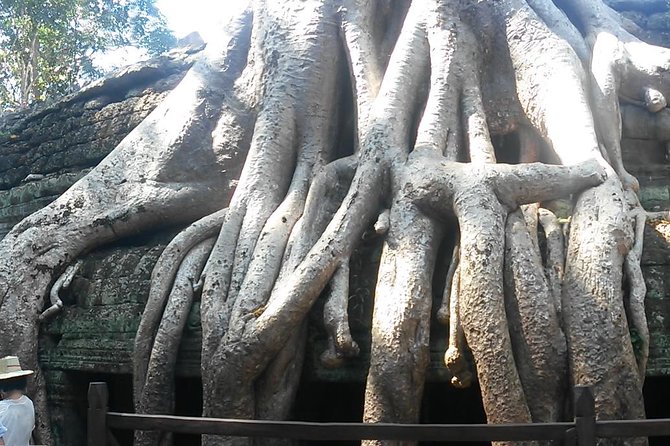 Angkor Wat 3-Day Tour from Bangkok - What you get for $490, and when it is good value