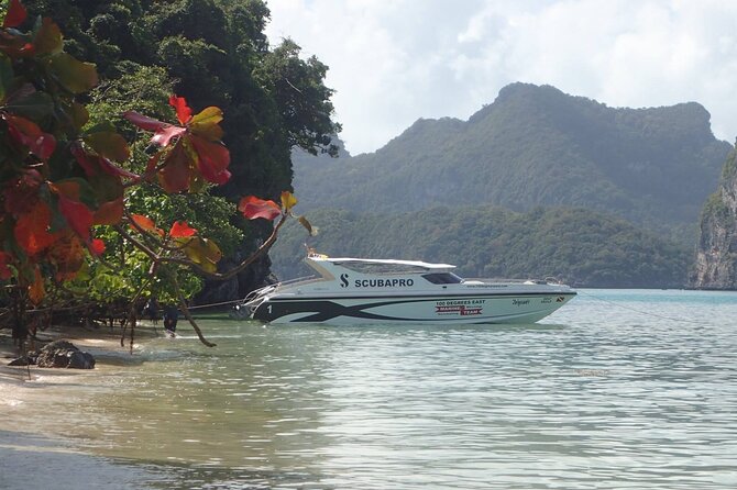 Angthong National Marine Park VIP Small Group Tour - Limestone cliffs cruise: photos come easy