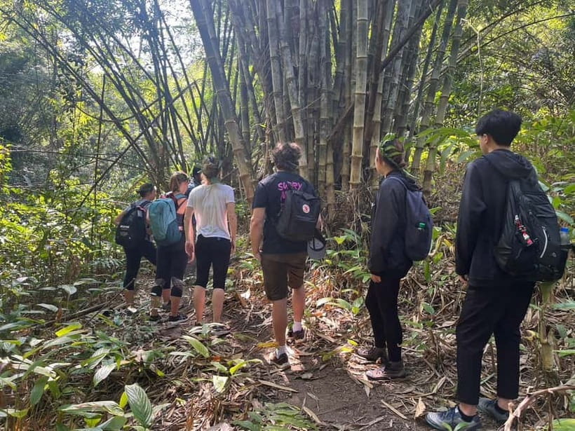 Authentic trek only walk in Chiang Rai jungle - The First Cultural Stops: Lisu Village and a Chinese Village Context