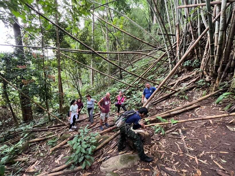 Authentic trek only walk in Chiang Rai jungle - Waterfall Time: When the Sweat Finally Gets Relief