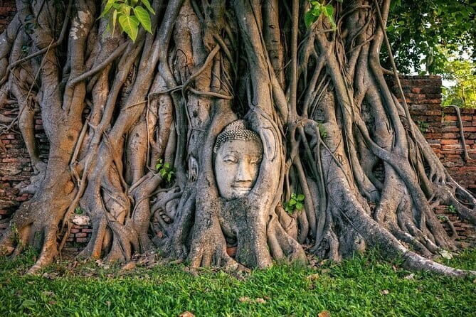 Ayutthaya Bicycle Tour with Scenic Boat Experience - The Bike Time Adds Up to 3 Hours, Not Just a Spin