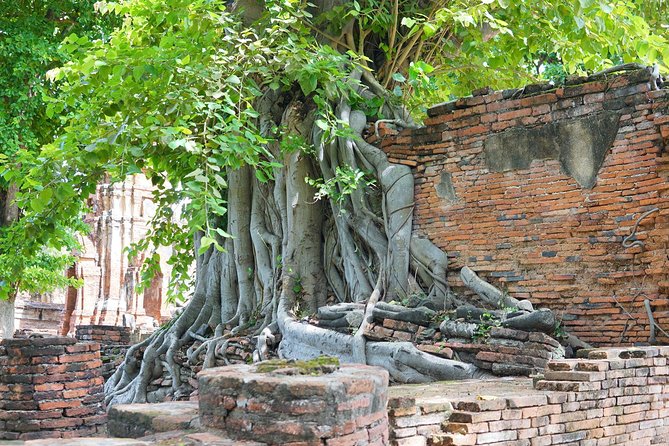 Ayutthaya Evening Tour with Dinner - Wat Mahathat: a 30-minute royal temple stop with serious significance