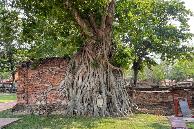 Ayutthaya Historical Old Capital day Tour from Bangkok - Lunch in the market area: flexible, and usually the best time to recharge