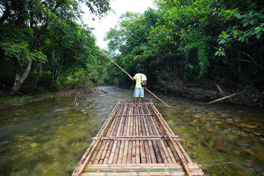 Bamboo Rafting, Waterfall, lunch, Elephant, and Turtle Tour - Quick highlights