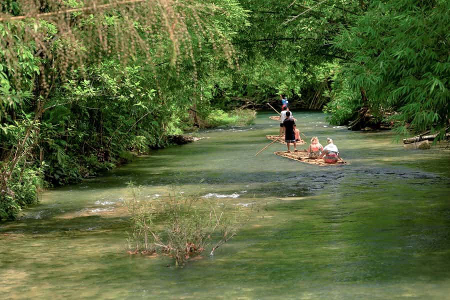 Bamboo Rafting, Waterfall, lunch, Elephant, and Turtle Tour - Price and value: why $96 can feel like a deal