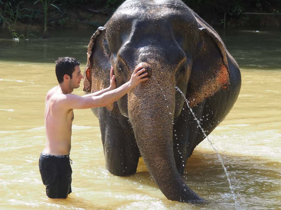 Bamboo Rafting, Waterfall, lunch, Elephant, and Turtle Tour - Turtle Conservation Center at Tablamu Navy Base, learning you can actually use
