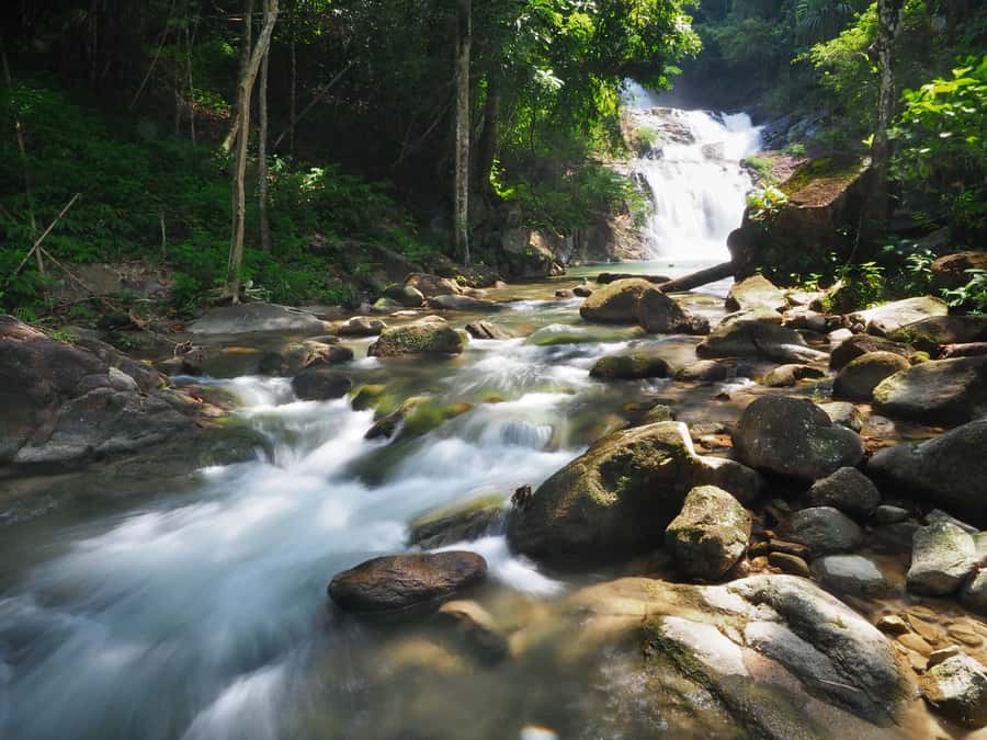 Bamboo Rafting, Waterfall, lunch, Elephant, and Turtle Tour - Thai lunch in Khao Lak, a real break before the elephants