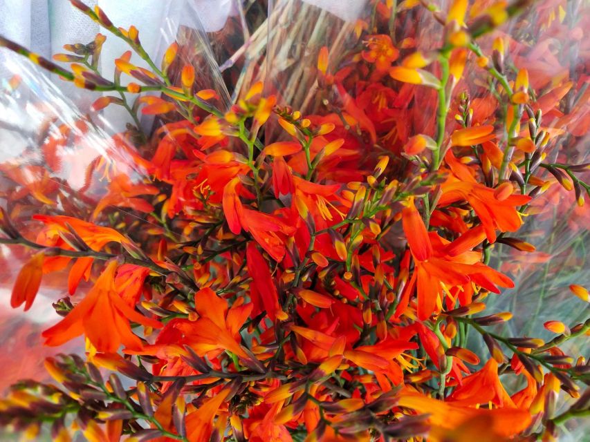 Bangkok:4Hour Flower Market and Little India Tour Mini Group - Price and value: is $75 fair for a half-day culture tour?