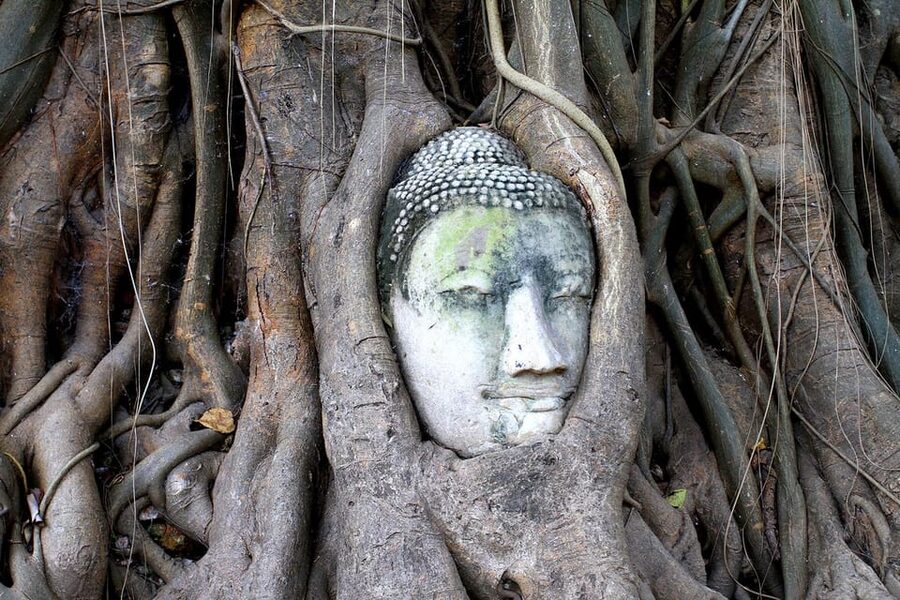 Bangkok: Audio guides for Bangkok, Ayutthaya & Chiang Mai - What You Need Before You Go (And What Can Trip You Up)