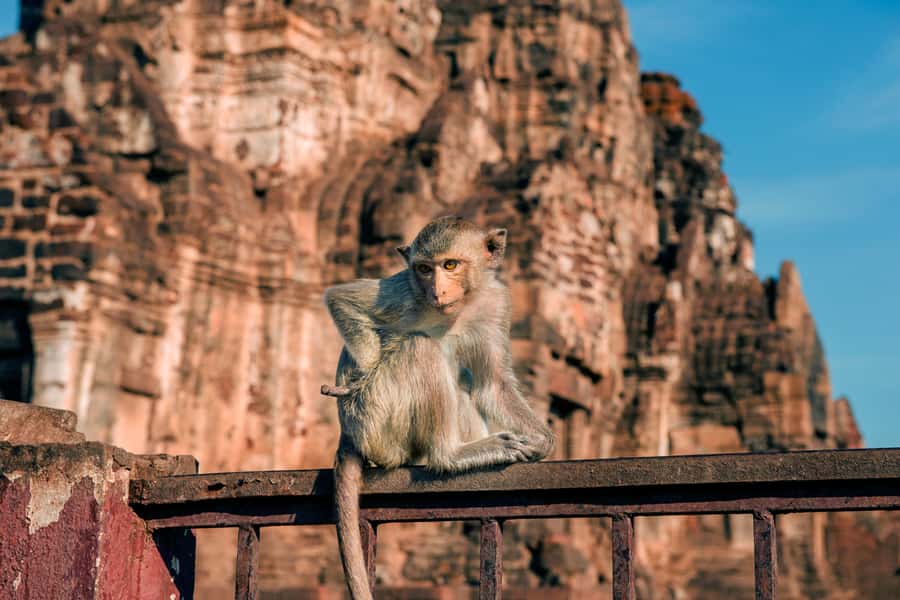 Bangkok: Ayutthaya & Lopburi Monkey Temple Private Day Trip - Wat Phu Khao Thong in Ayutthaya: a golden-mount warmup