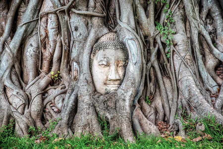 Bangkok: Ayutthaya & Lopburi Monkey Temple Private Day Trip - Wihan Phra Mongkhon Bophit: Thailand’s largest bronze Buddha moment