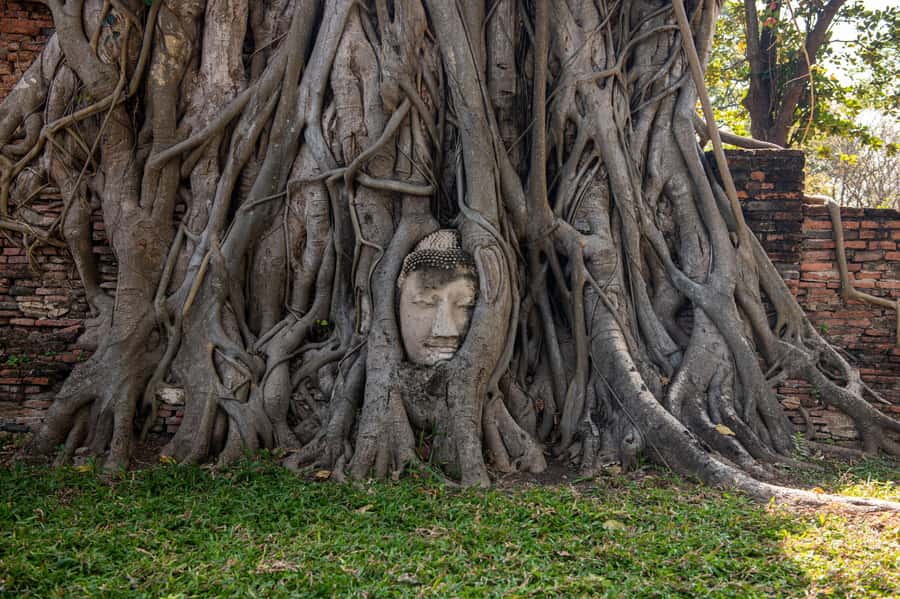 Bangkok: Ayutthaya, Railway & Floating Markets Full-Day Tour - Who this tour fits best (and who should skip it)