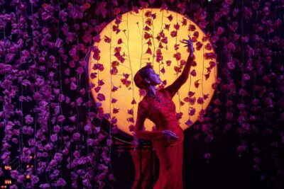 Calypso Cabaret Show with Thai Set Dinner