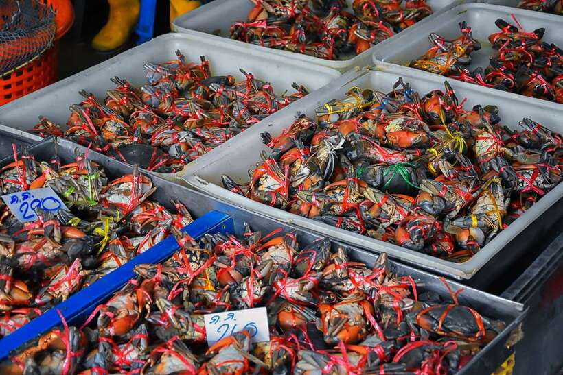 Bangkok: Damnoen Saduak Market and Maeklong Railway Market - Food on This Trip: Budget-Friendly Ways to Sample Without Getting Stuck