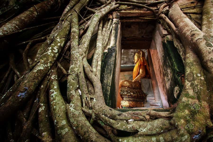 Bangkok: Dragon Temple, Roots Temple and Amphawa in spanish - Wat Samphran dragon temple: the 17-story wrapped-in-scale moment