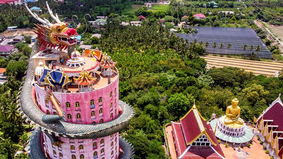 Bangkok: Dragon Temple, Roots Temple and Amphawa in spanish - Getting from Bangkok: hotel pickup and a small-group rhythm