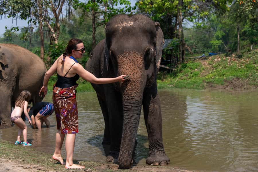 Bangkok: Elephant Sanctuary & Erawan Waterfall Tour - Key points before you go