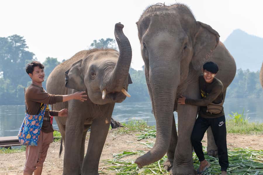 Bangkok: Elephant Sanctuary & Erawan Waterfall Tour - Who this tour suits best