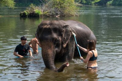 Elephant Sanctuary & Erawan Waterfall Tour