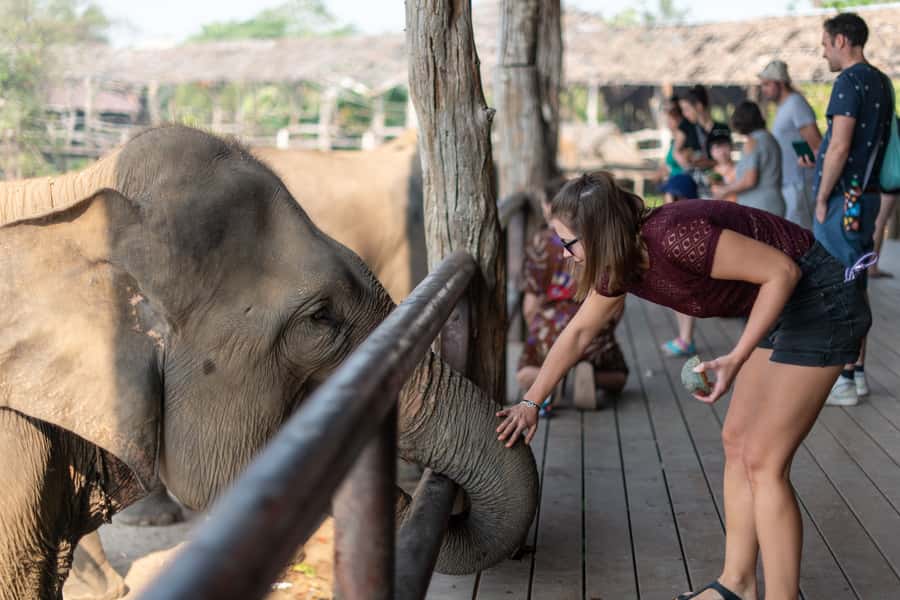 Bangkok: Elephant Sanctuary & Erawan Waterfall Tour - Price and value at about $181 per person