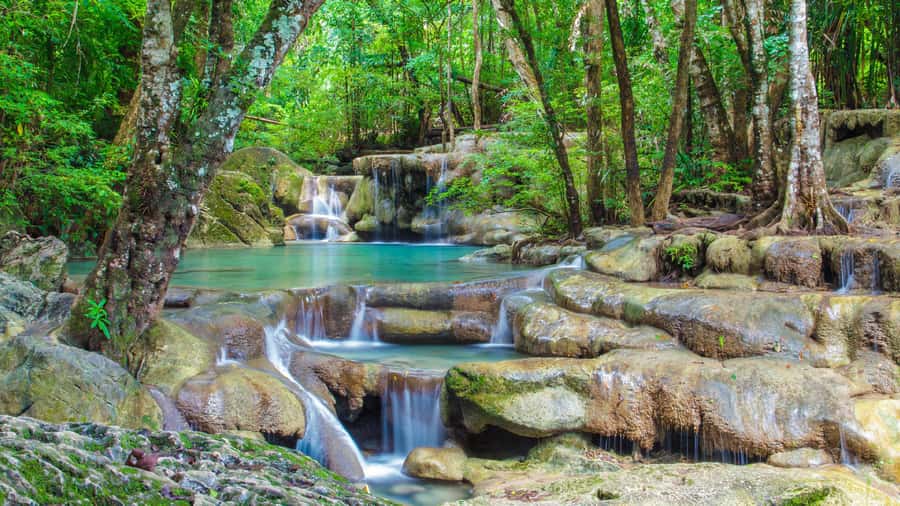Bangkok: Elephants World & Erawan Waterfall in Kanchanaburi - Key things I’d pay attention to before booking