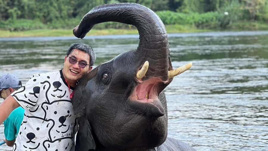 Bangkok: Elephants World & Erawan Waterfall in Kanchanaburi - Who this tour suits best, and who should skip it