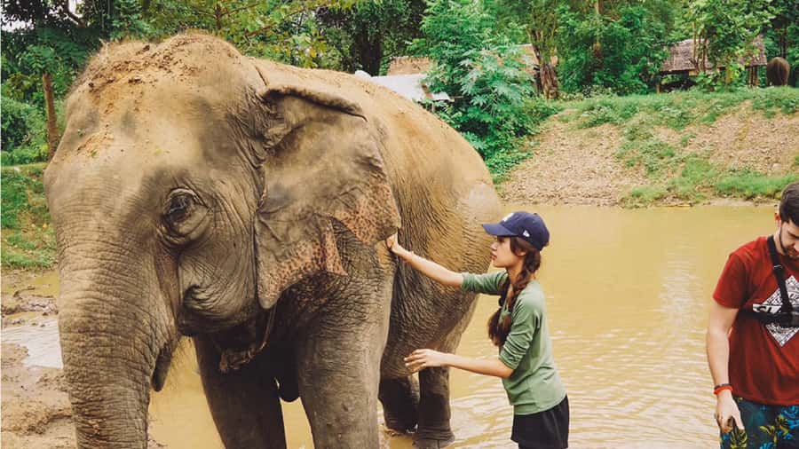 Bangkok: Elephants World & Erawan Waterfall in Kanchanaburi - Elephant World Sanctuary: what welfare-first interaction looks like