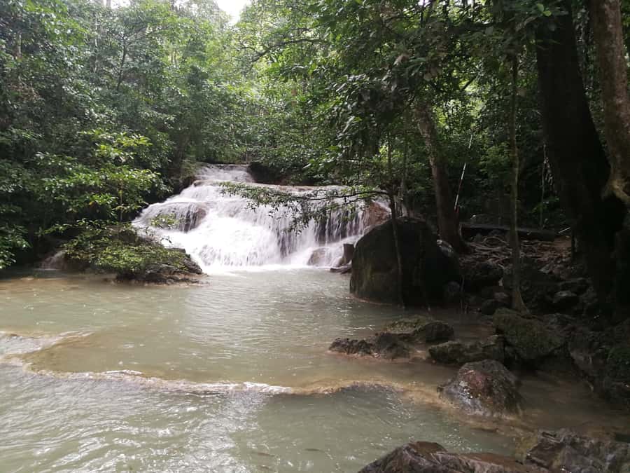Bangkok: Erawan Park & Elephant observation Private Tour - Fish Spa Stops and Water Features: Fun, But Come With the Right Mindset