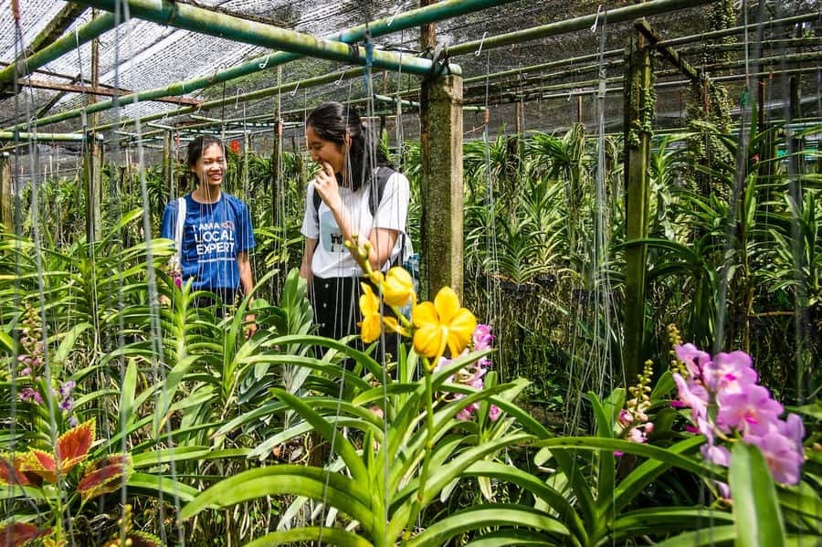 Bangkok Floating Market & Boat Ride to an Orchid Farm - Guide quality matters more than you think