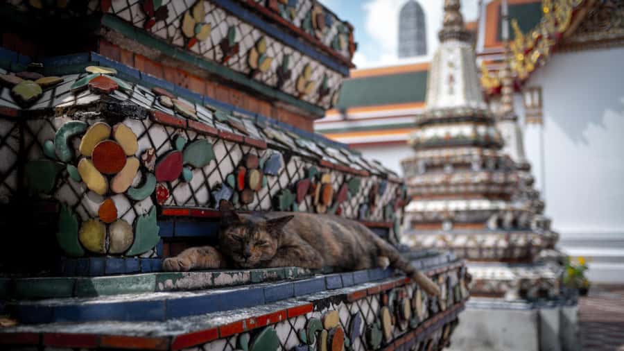 Bangkok: Grand Palace, Wat Pho and Wat Arun - Dress code, cash, and the small rules that prevent big delays
