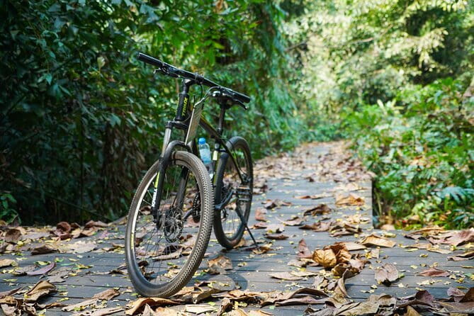 Bangkok Green Oasis Nature Bike Tour - Cafe break with Thai tea, why the drink stop matters